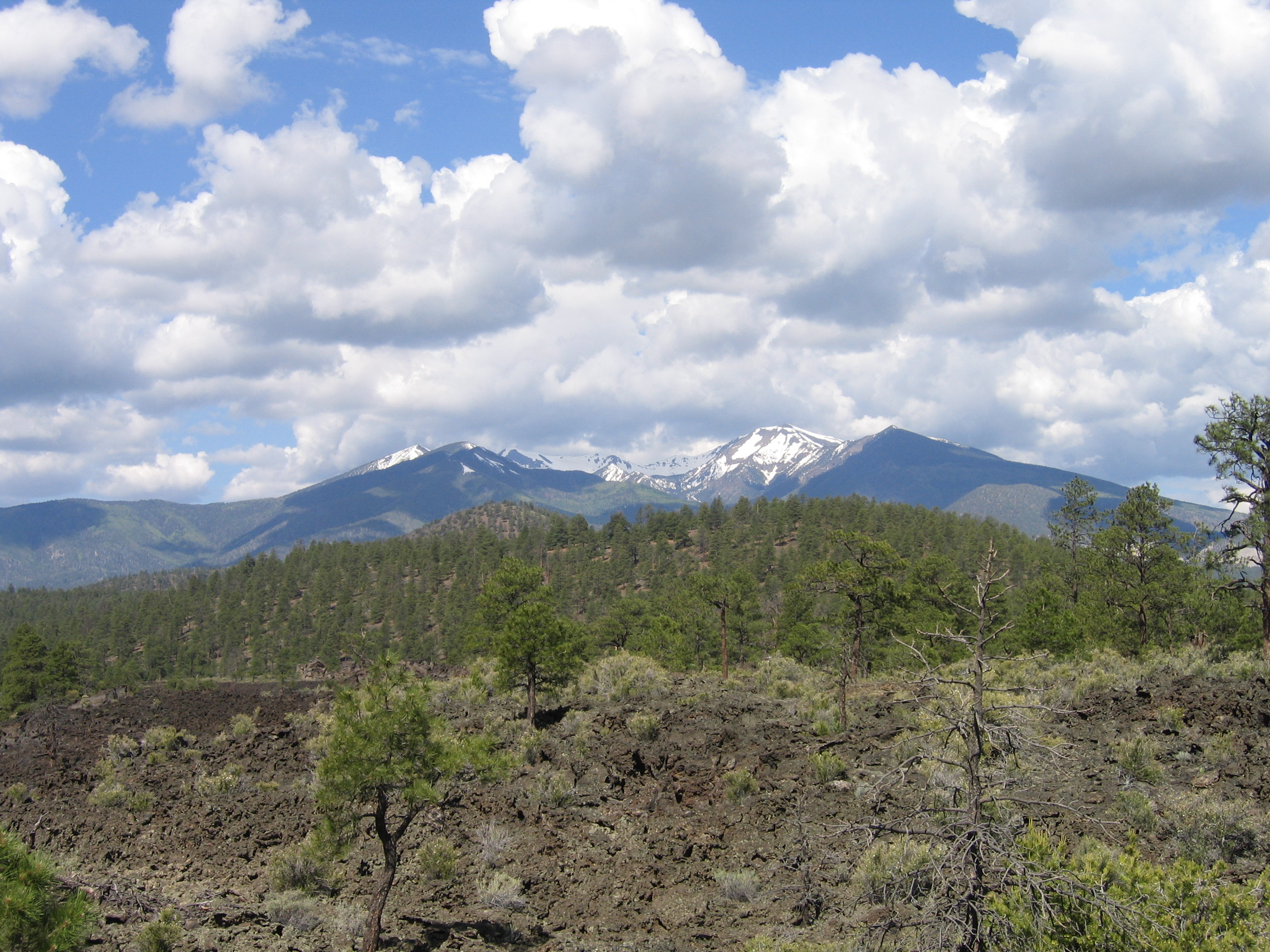San Francisco Peaks, Arizona, USA, Juni 2005